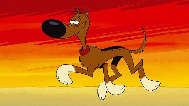 Perros Estrella: hoy, Rantanplán 2 Perros Estrella: hoy, Rantanplán 2